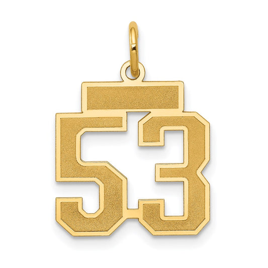 Million Charms 14K Yellow Gold Themed Small Satin Number 53 Charm