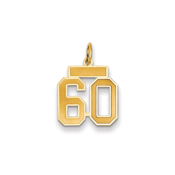 Million Charms 14K Yellow Gold Themed Small Satin Number 60 Charm