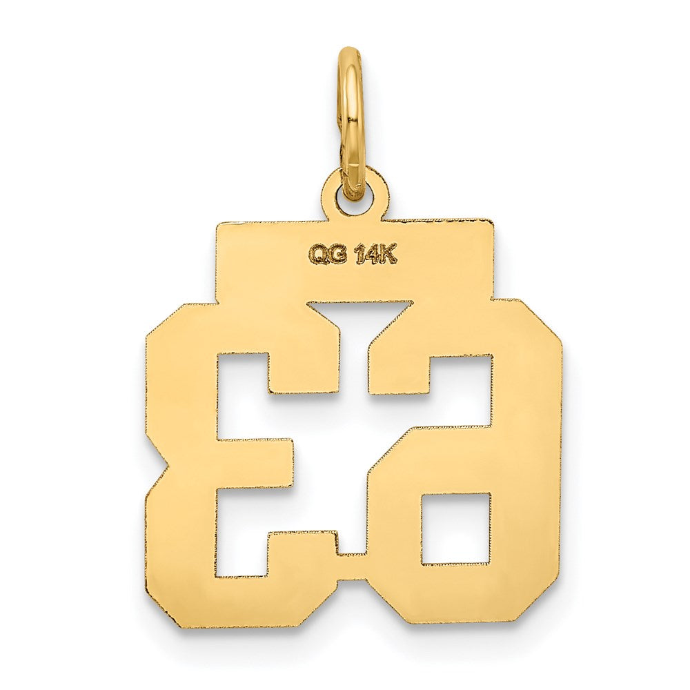 Million Charms 14K Yellow Gold Themed Small Satin Number 63 Charm