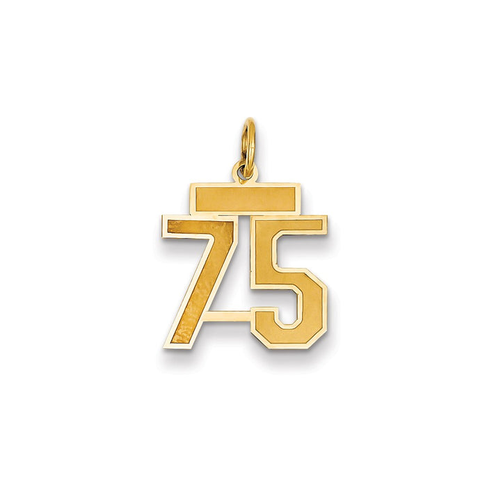 Million Charms 14K Yellow Gold Themed Small Satin Number 75 Charm