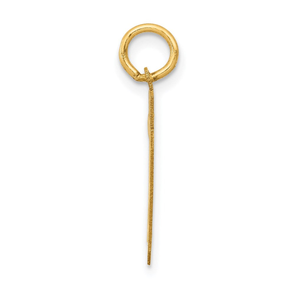 Million Charms 14K Yellow Gold Themed Small Satin Number 79 Charm