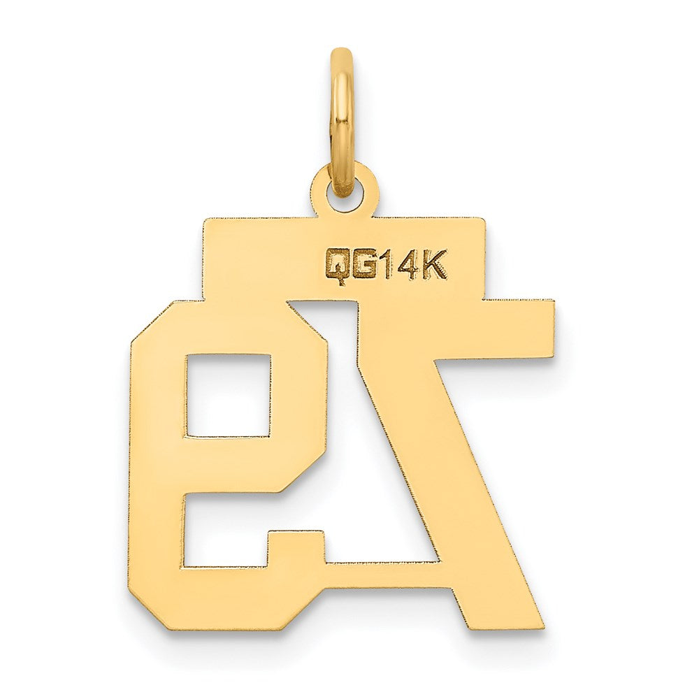 Million Charms 14K Yellow Gold Themed Small Satin Number 79 Charm