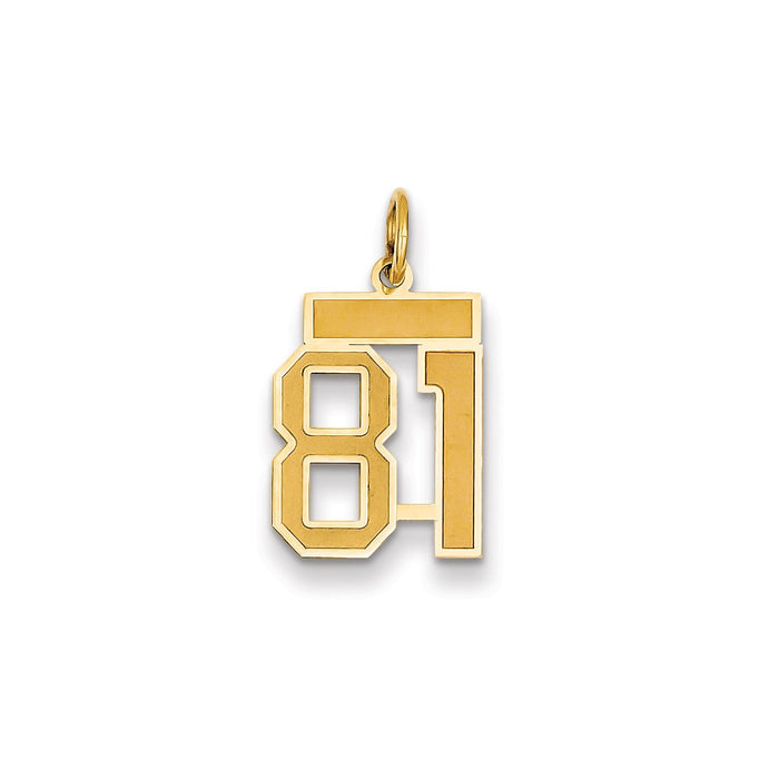 Million Charms 14K Yellow Gold Themed Small Satin Number 81 Charm