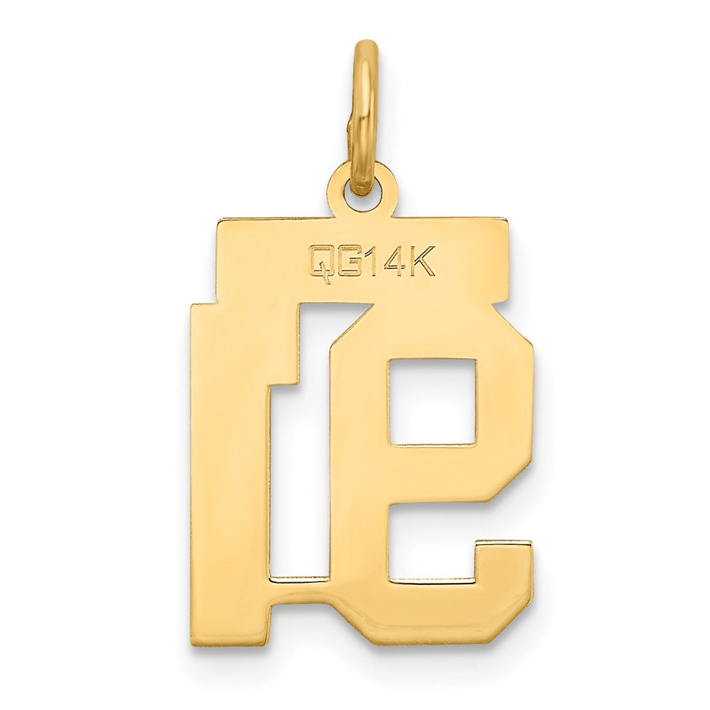 Million Charms 14K Yellow Gold Themed Small Satin Number 91 Charm