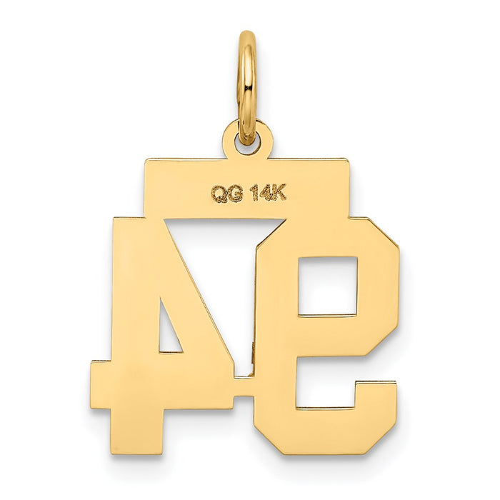 Million Charms 14K Yellow Gold Themed Small Satin Number 94 Charm