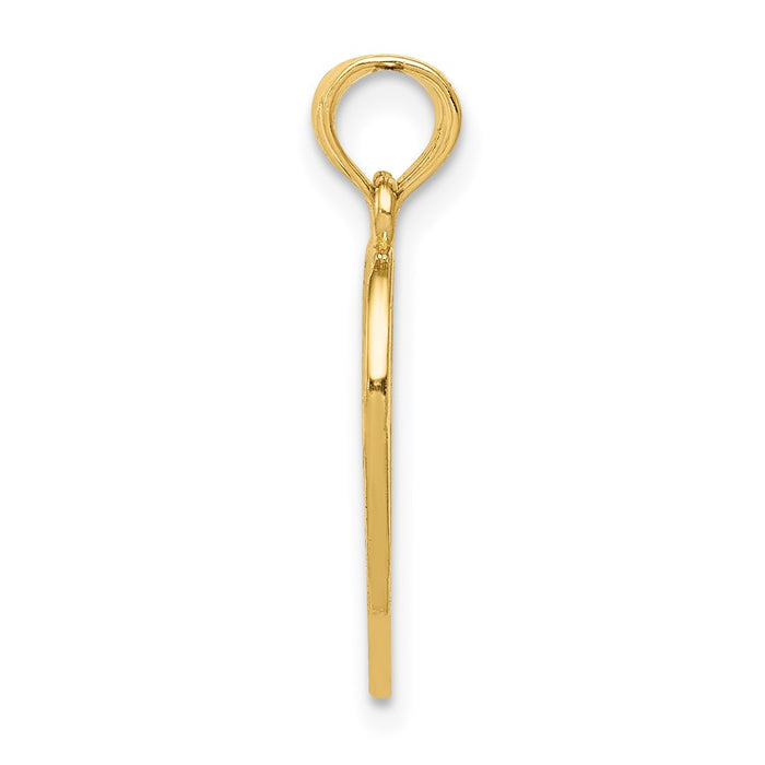 Million Charms 14K Yellow Gold Themed Enameled Mother - Daughter Pendant
