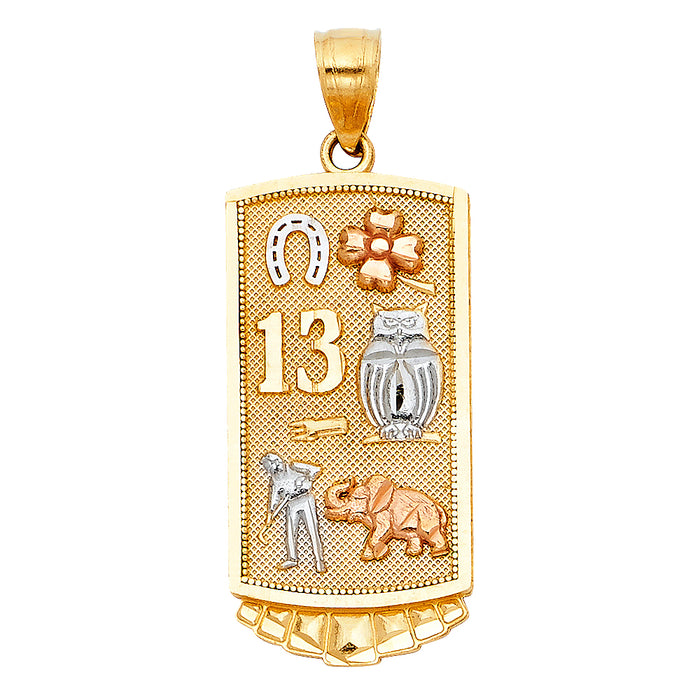14K Tri-Color Gold Lucky Charm Pendant  (27mm x 18mm)