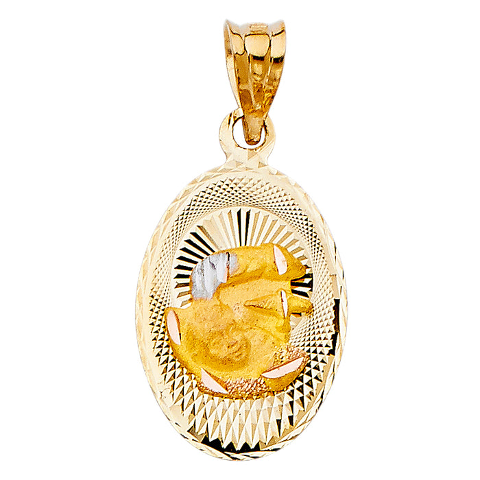 14k Tri-color Gold Religious Jesus Baptism Stamp Charm Pendant, Diamond-cut (21mm x 14mm)