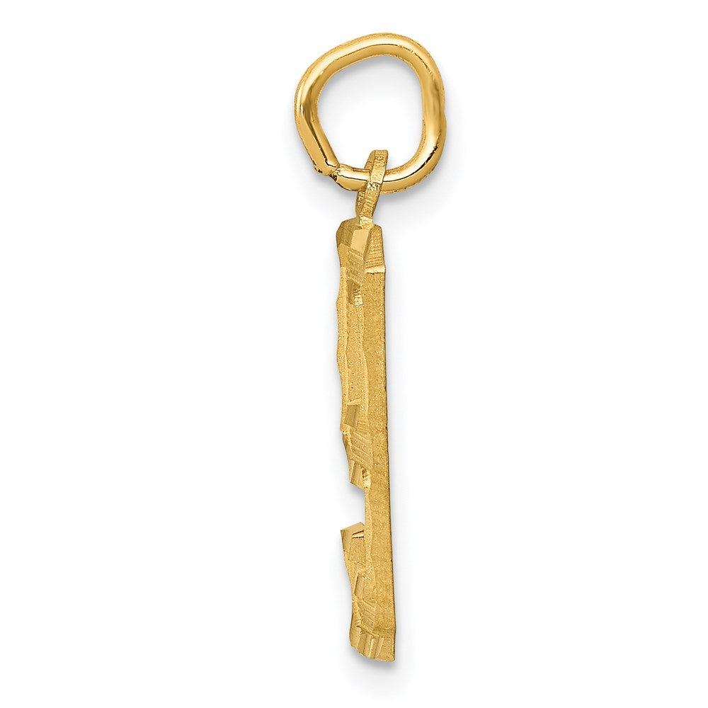 Million Charms 14K Yellow Gold Themed Casted Medium Diamond Cut Number 9 Charm