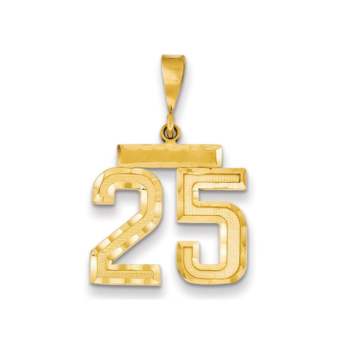 Million Charms 14K Yellow Gold Themed Medium Diamond-Cut Number 25 Charm