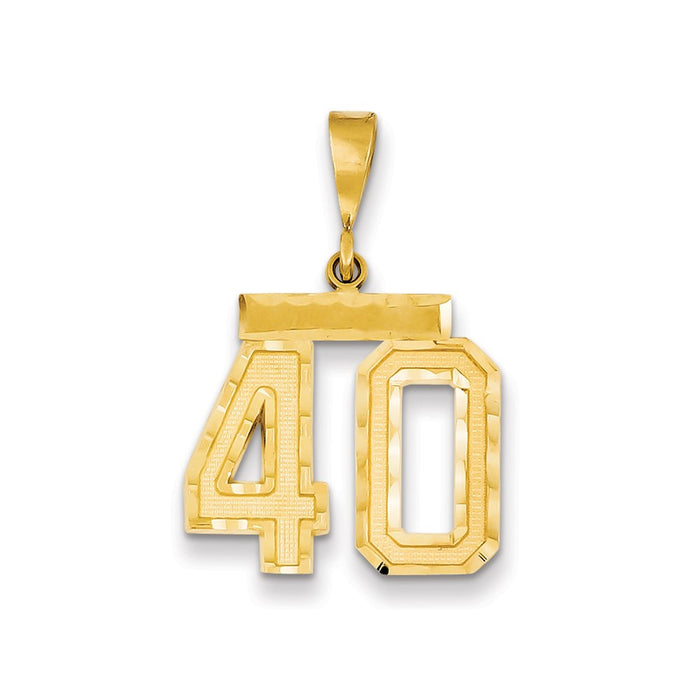 Million Charms 14K Yellow Gold Themed Medium Diamond-Cut Number 40 Charm