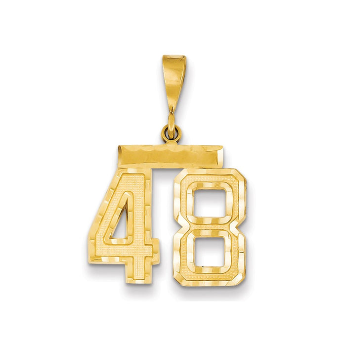 Million Charms 14K Yellow Gold Themed Medium Diamond-Cut Number 48 Charm