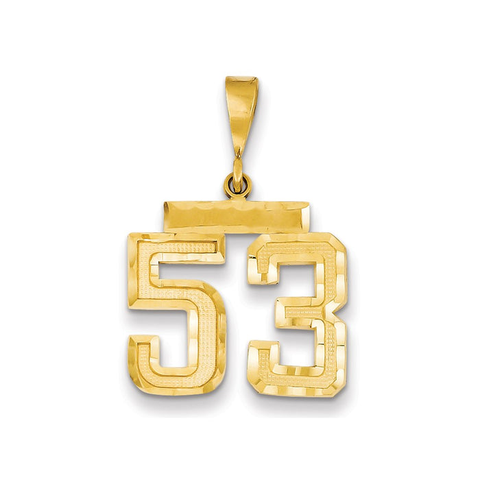 Million Charms 14K Yellow Gold Themed Medium Diamond-Cut Number 53 Charm