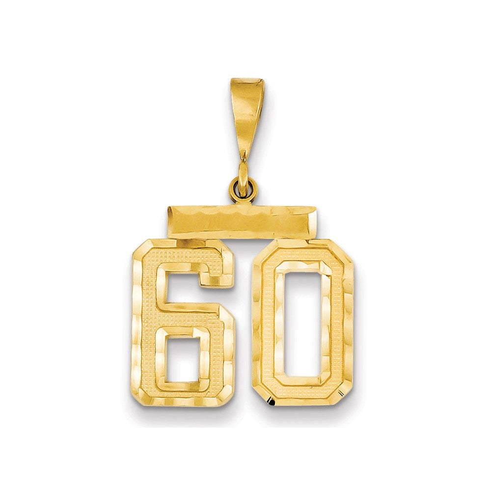 Million Charms 14K Yellow Gold Themed Medium Diamond-Cut Number 60 Charm