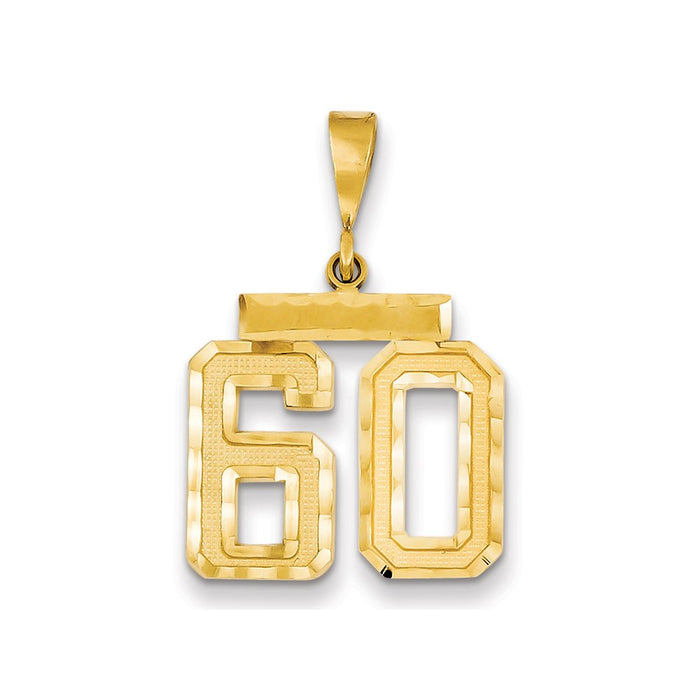 Million Charms 14K Yellow Gold Themed Medium Diamond-Cut Number 60 Charm