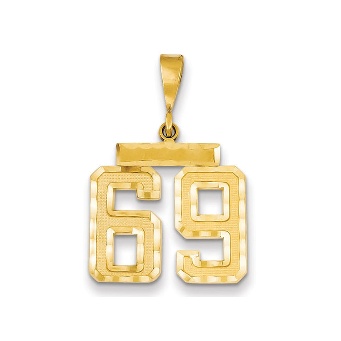 Million Charms 14K Yellow Gold Themed Medium Diamond-Cut Number 69 Charm