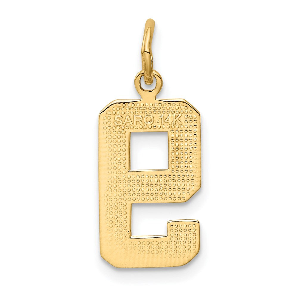 Million Charms 14K Yellow Gold Themed Casted Medium Polished Number 9 Charm