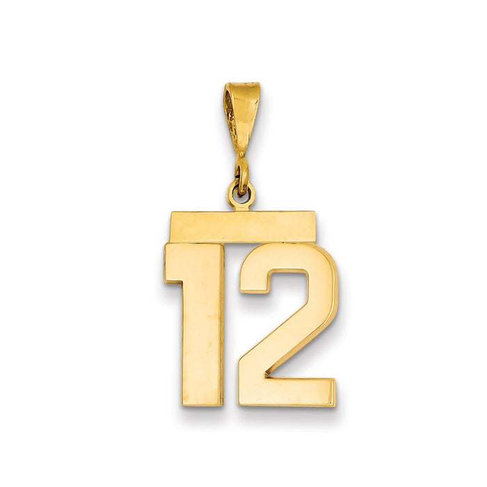 Million Charms 14K Yellow Gold Themed Medium Polished Number 12 Charm