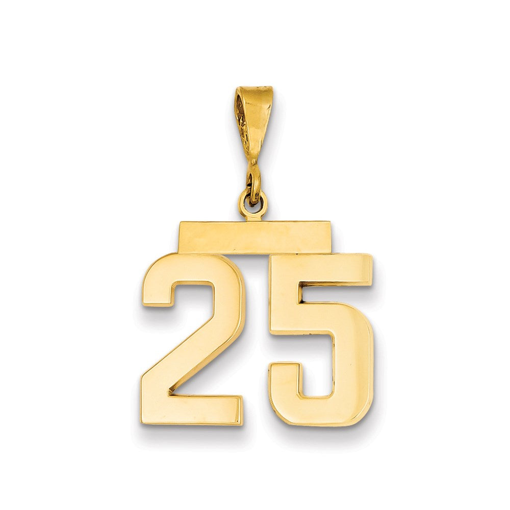 Million Charms 14K Yellow Gold Themed Medium Polished Number 25 Charm