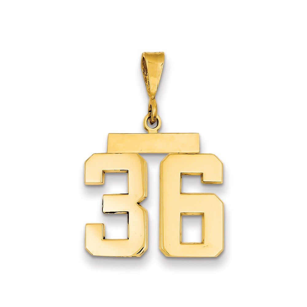 Million Charms 14K Yellow Gold Themed Medium Polished Number 36 Charm