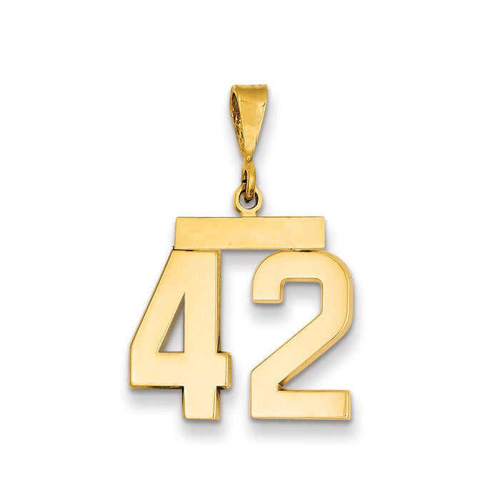 Million Charms 14K Yellow Gold Themed Medium Polished Number 42 Charm
