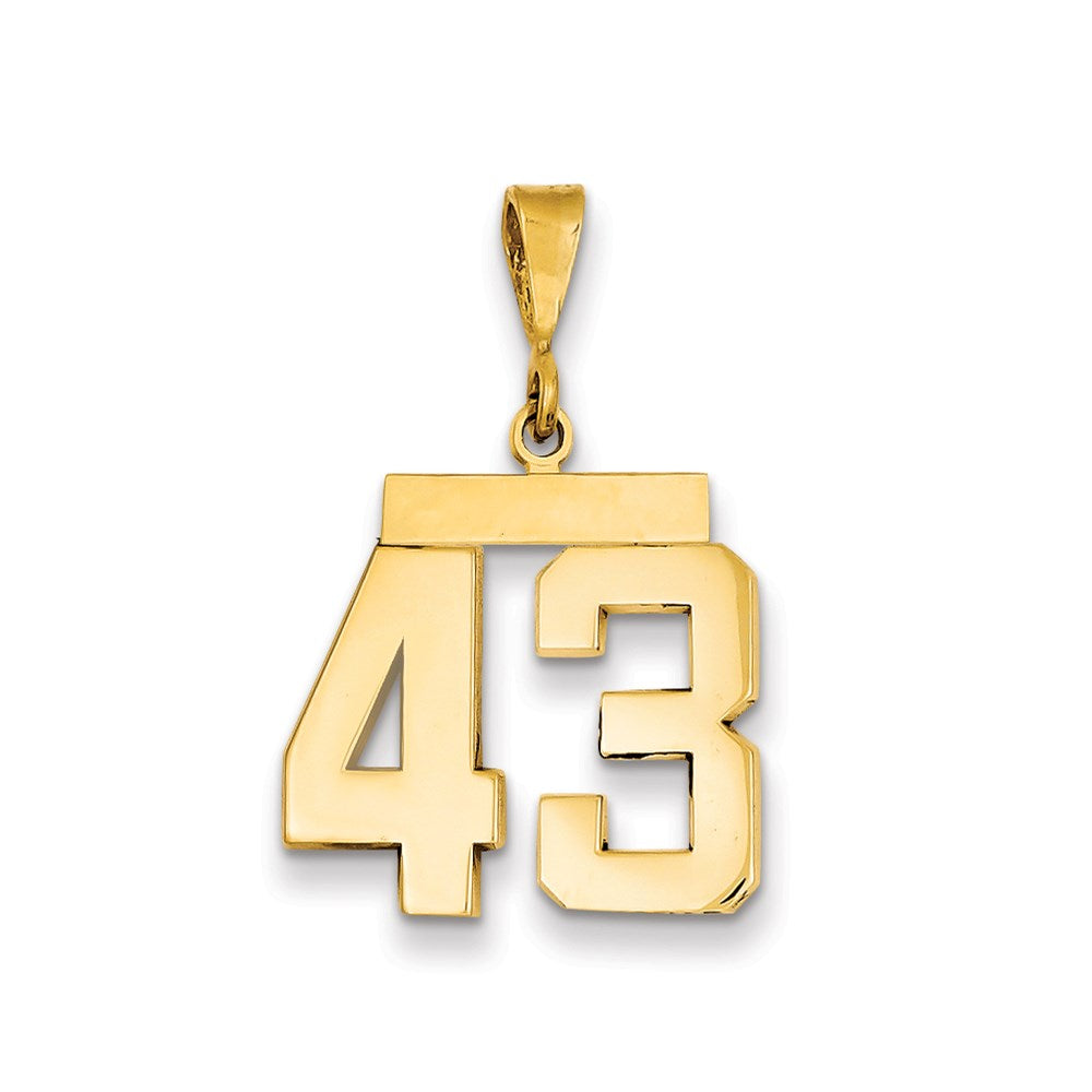 Million Charms 14K Yellow Gold Themed Medium Polished Number 43 Charm