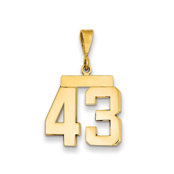 Million Charms 14K Yellow Gold Themed Medium Polished Number 43 Charm