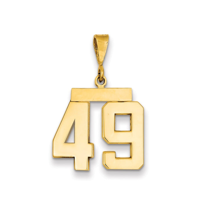 Million Charms 14K Yellow Gold Themed Medium Polished Number 49 Charm