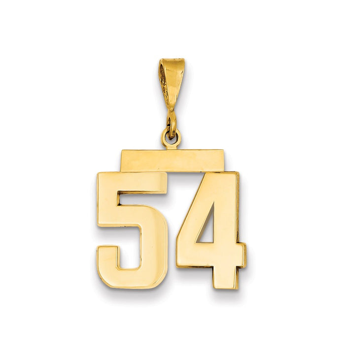 Million Charms 14K Yellow Gold Themed Medium Polished Number 54 Charm