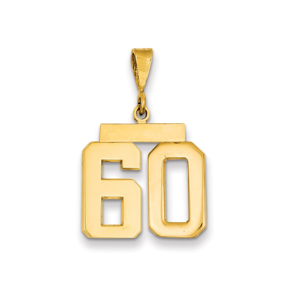 Million Charms 14K Yellow Gold Themed Medium Polished Number 60 Charm