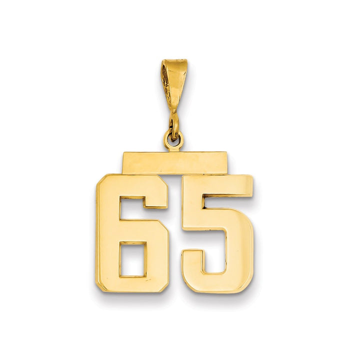 Million Charms 14K Yellow Gold Themed Medium Polished Number 65 Charm