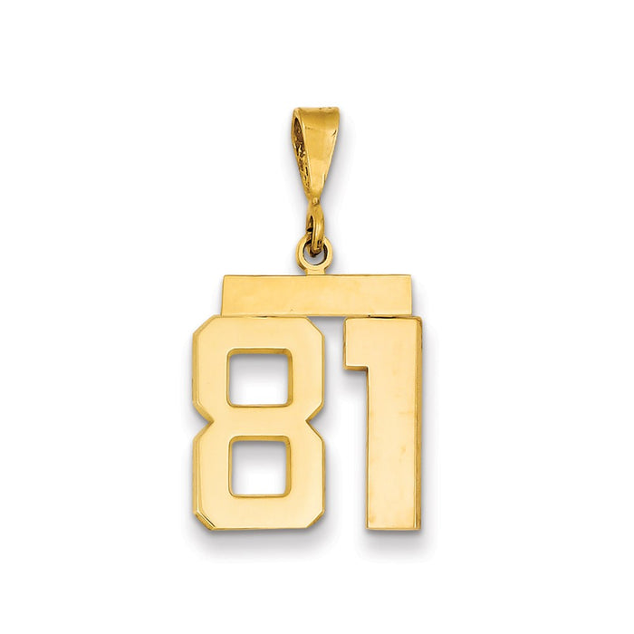 Million Charms 14K Yellow Gold Themed Medium Polished Number 81 Charm