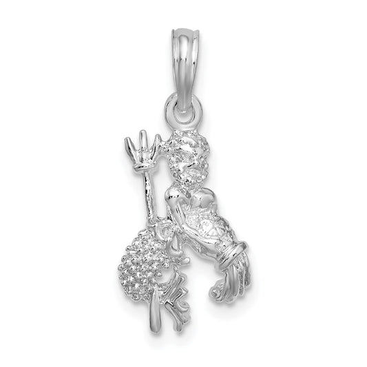 Million Charms 925 Sterling Silver Charm Pendant, 3-D Aquarius Zodiac Sign
