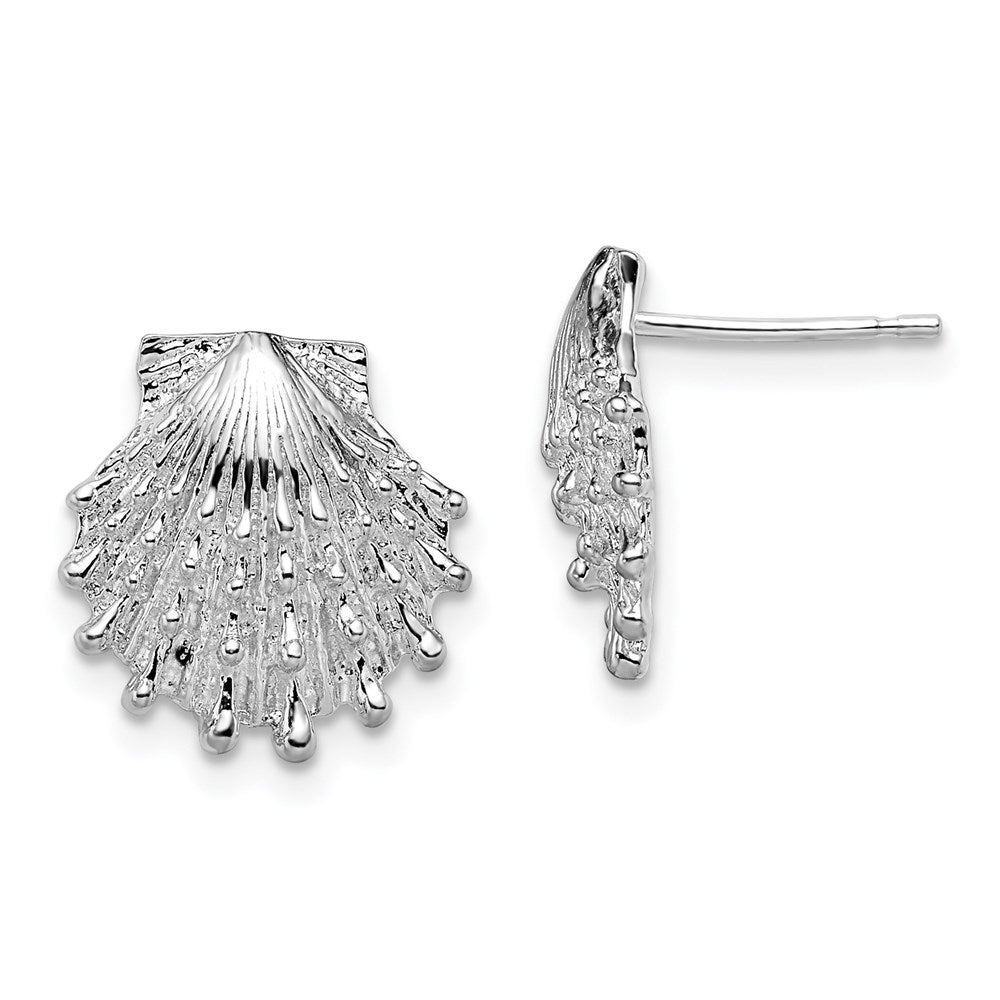 Million Themes 925 Sterling Silver Theme Earrings, Lion's Paw Shell Post Earrings