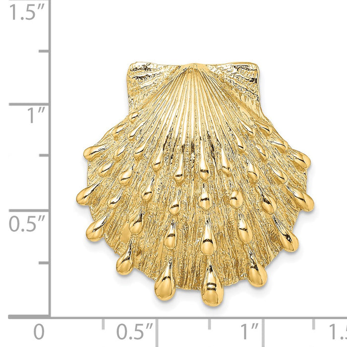 Million Charms 14K Yellow Gold Themed Lion'S Paw Shell Slide