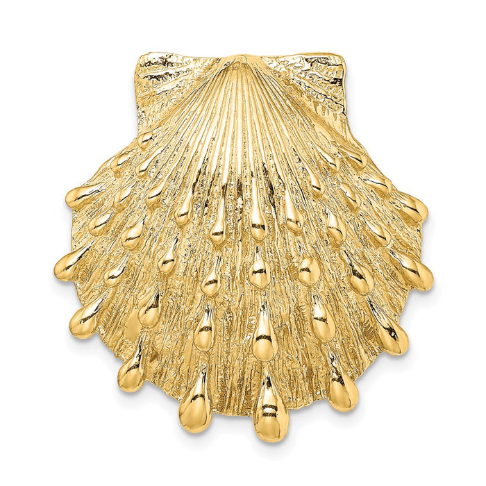 Million Charms 14K Yellow Gold Themed Lion'S Paw Shell Slide