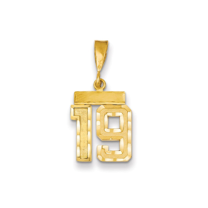 Million Charms 14K Yellow Gold Themed Small Diamond-Cut Number 19 Charm