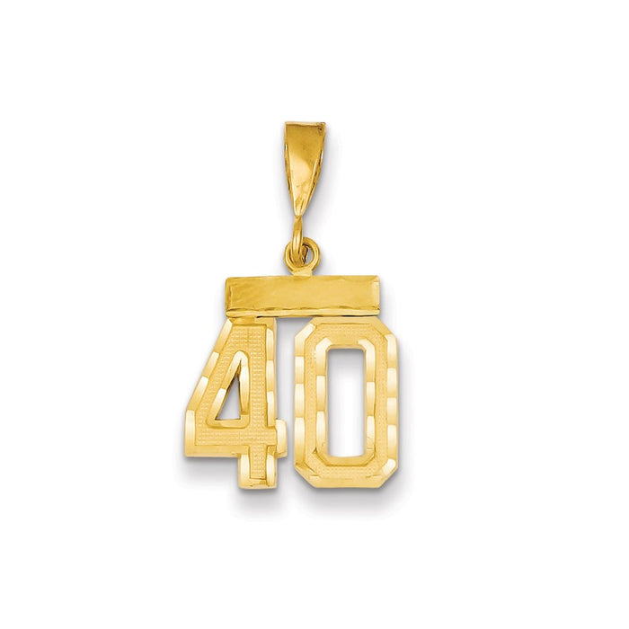 Million Charms 14K Yellow Gold Themed Small Diamond-Cut Number 40 Charm
