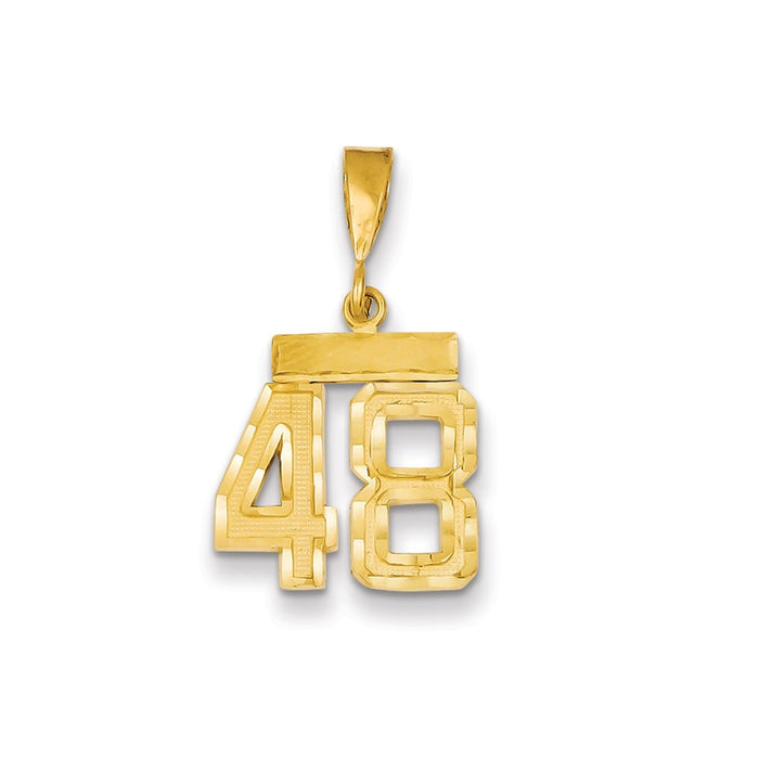 Million Charms 14K Yellow Gold Themed Small Diamond-Cut Number 48 Charm