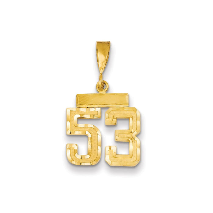 Million Charms 14K Yellow Gold Themed Small Diamond-Cut Number 53 Charm