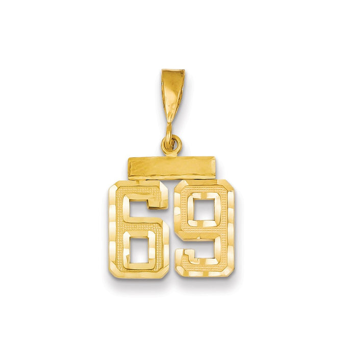 Million Charms 14K Yellow Gold Themed Small Diamond-Cut Number 69 Charm