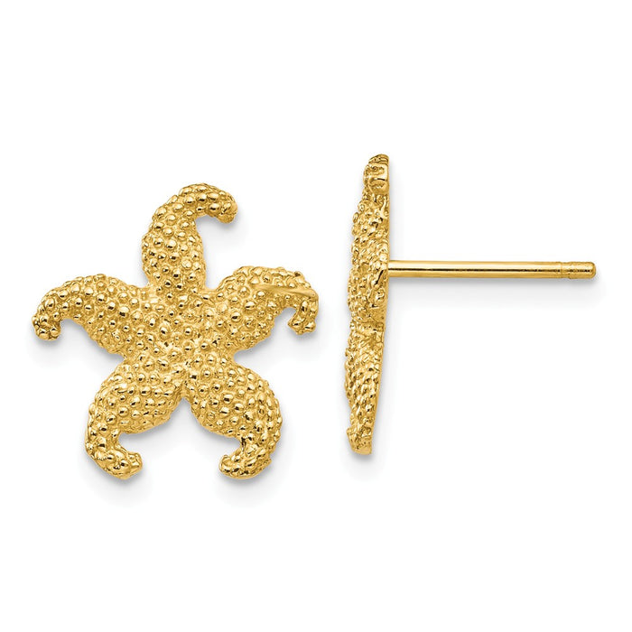 Million Charms 14k Yellow Gold Starfish Post Earrings, 15mm x 14mm