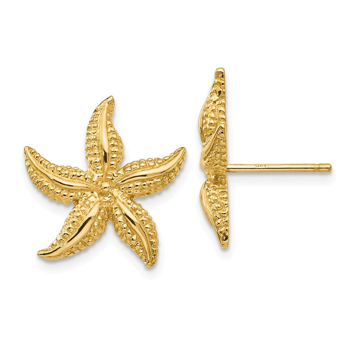 Million Charms 14k Yellow Gold Starfish Post Earrings, 17mm x 16mm