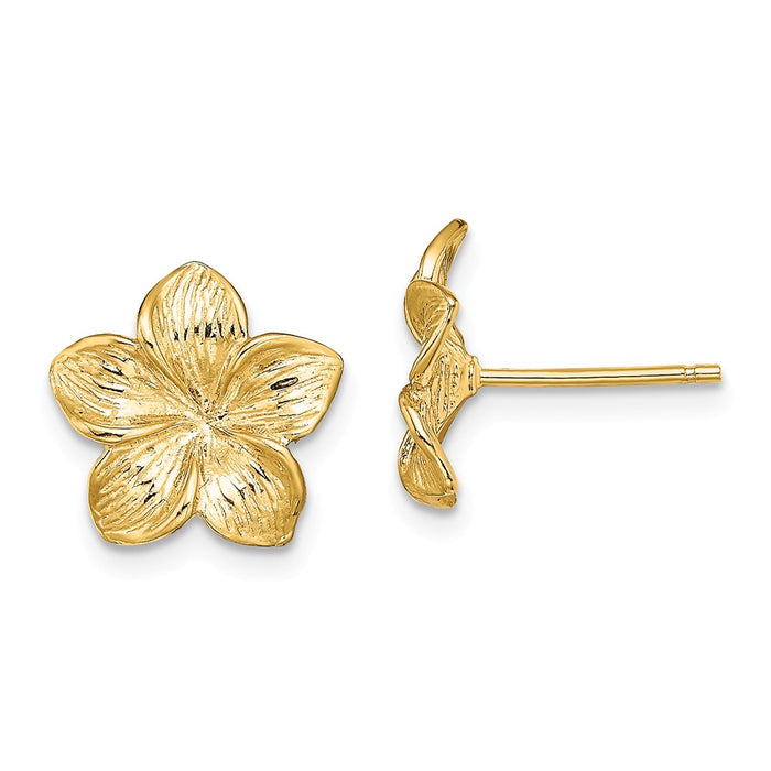 Million Charms 14k Yellow Gold Plumeria Flower Post Earrings, 11.5mm x 11.5mm