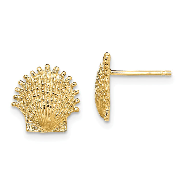 Million Charms 14k Yellow Gold Beaded Scallop Shell Post Earrings, 10.4mm x 10.4mm