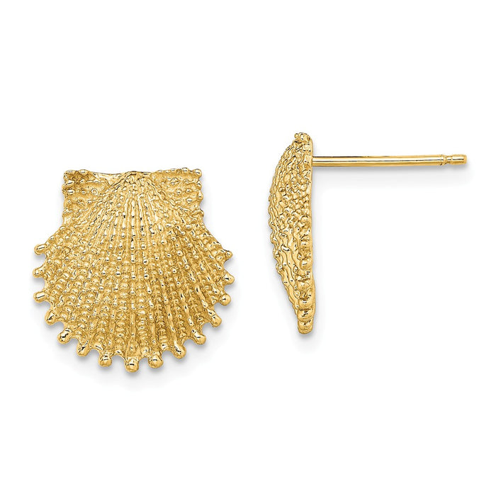 Million Charms 14k Yellow Gold Beaded Scallop Shell Post Earrings, 13.4mm x 13.4mm