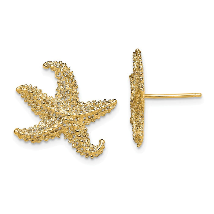 Million Charms 14k Yellow Gold Textured Starfish Post Earrings, 18.2mm x 15.8mm