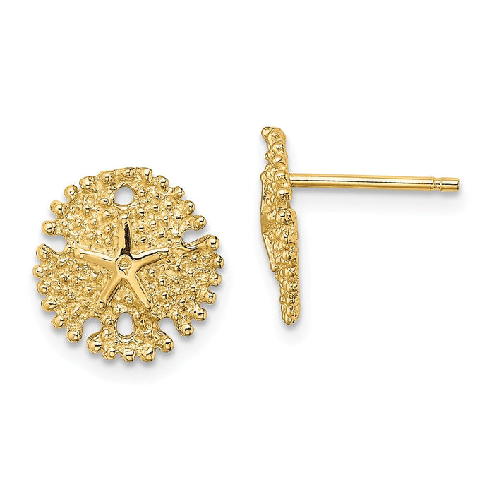Million Charms 14k Yellow Gold Textured Sand Dollar Post Earrings, 10.8mm x 10.3mm