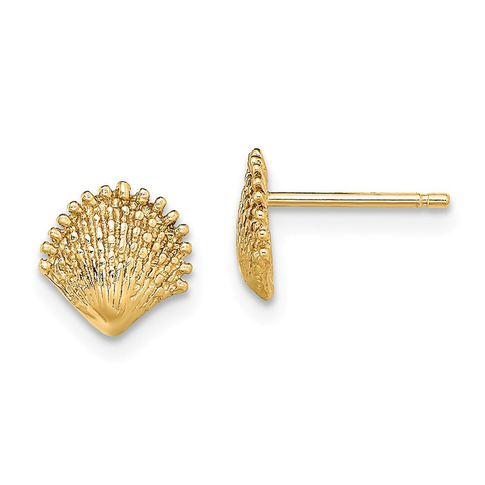 Million Charms 14k Yellow Gold Scallop Shell Post Earrings, 7.8mm x 7.7mm