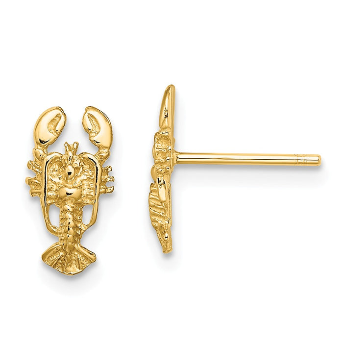 Million Charms 14k Yellow Gold 2-D LOBSTER POST EARRINGS, 10.7mm x 5.75mm